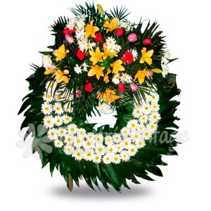 floreria-en-torreon