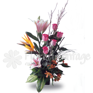 floreria-en-torreon