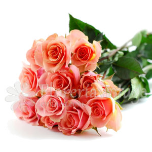 floreria-en-torreon