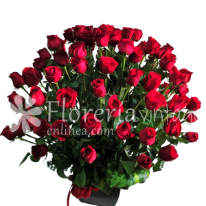 floreria-en-gomez-palacio-50RRCON-BB-50-rosas-contemporaneo